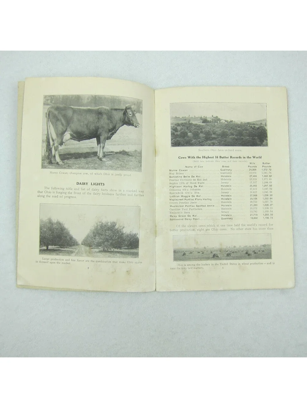 Panama Pacific International Expo Ohio Booklet Farm Agriculture Antique 1915